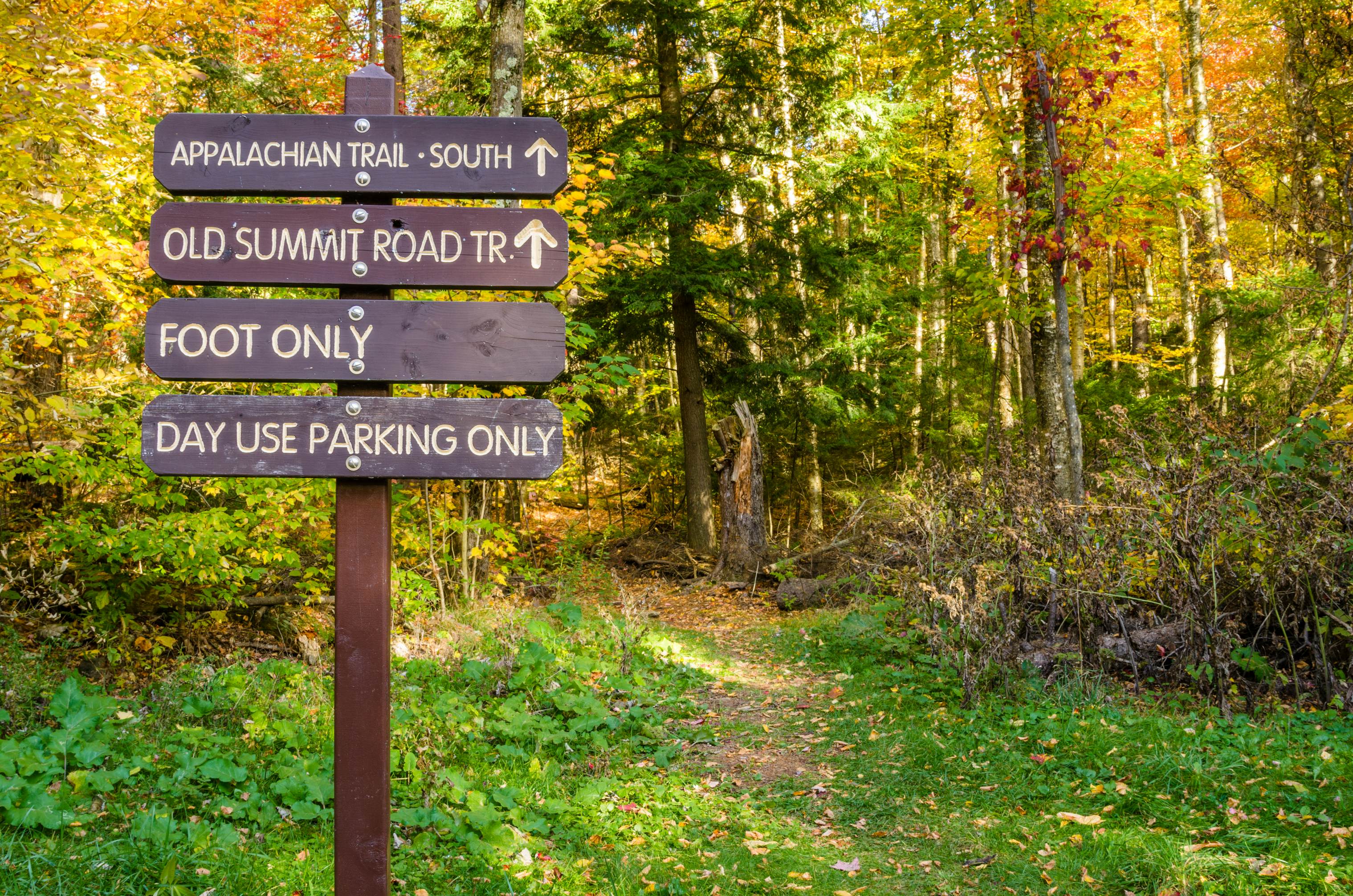 The 10 best hiking trails in Massachusetts Lonely